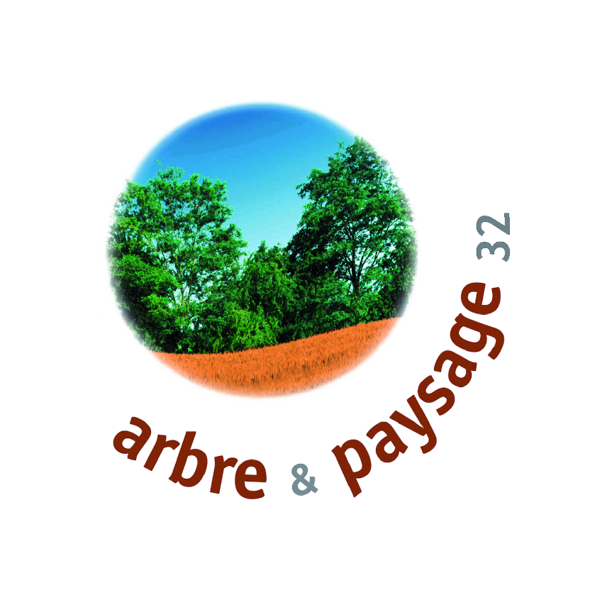 a&p32_taillereduite
