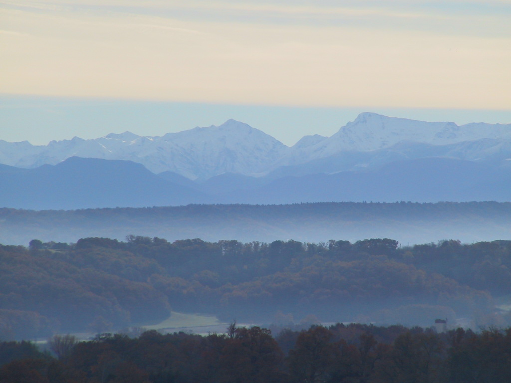 Arbre et Paysage 32