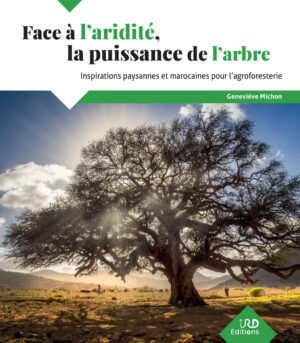 Face à l'aridité, la puissance de l'arbre - Geneviève Michon