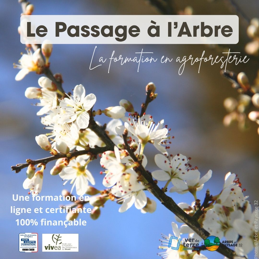 Le Passage à l’Arbre