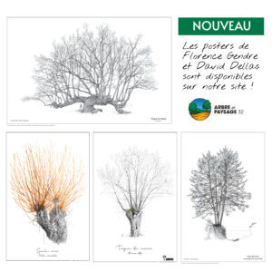 Lot de 4 posters de Florence Gendre et David Dellas