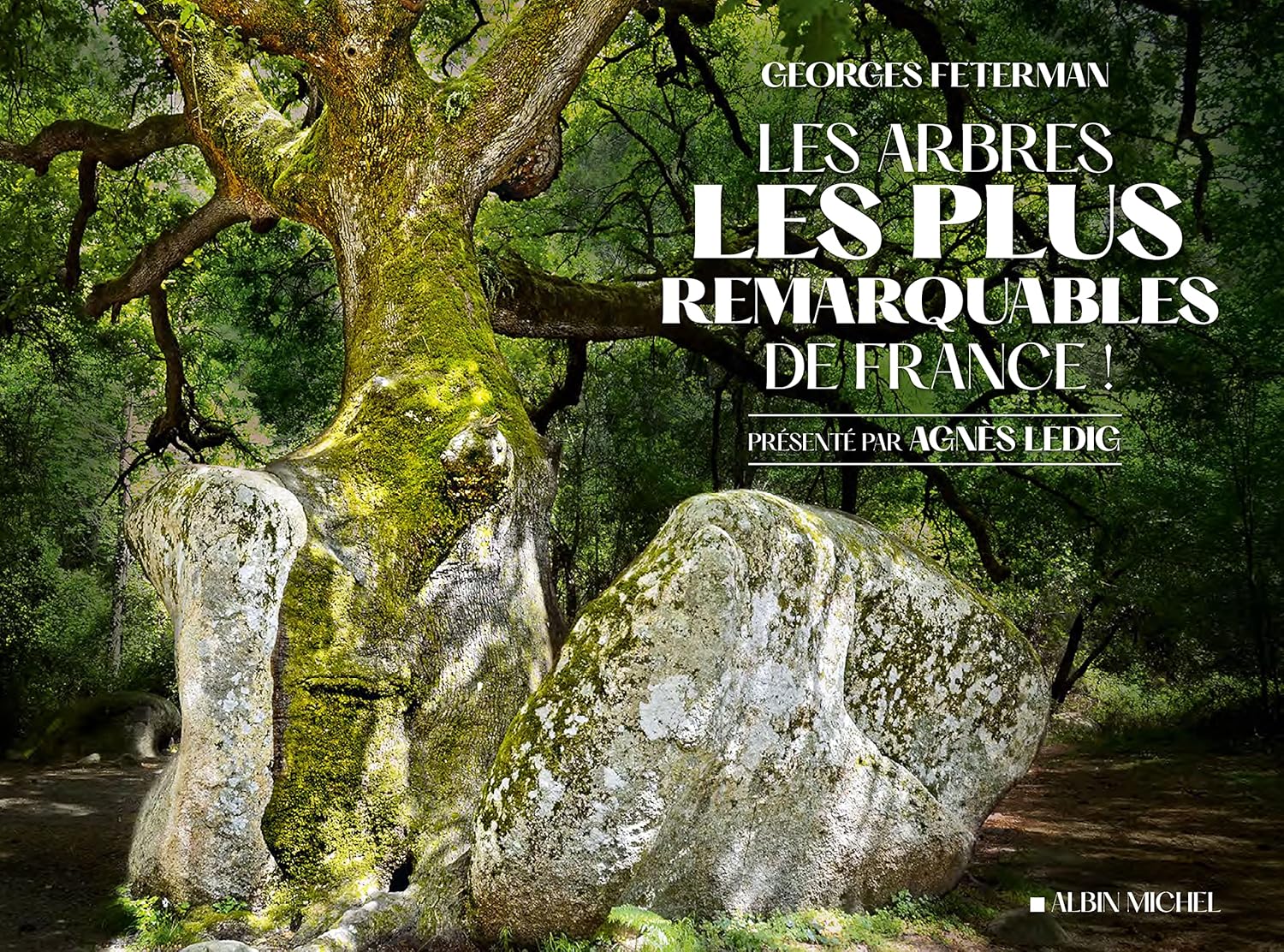 Les arbres les plus remarquables de France ! – Georges Feterman