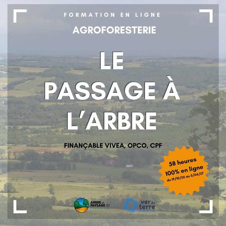 Arbre & Paysage 32