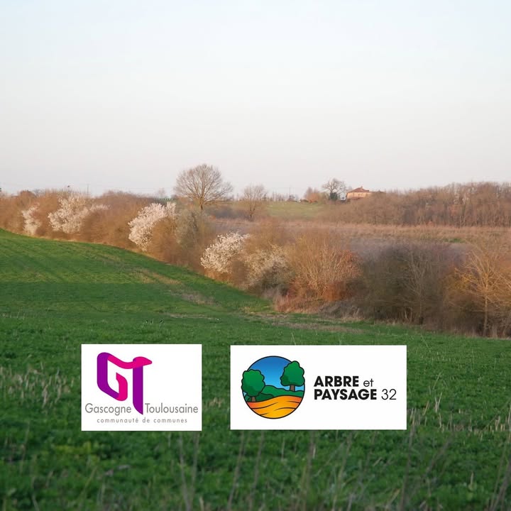 Arbre & Paysage 32