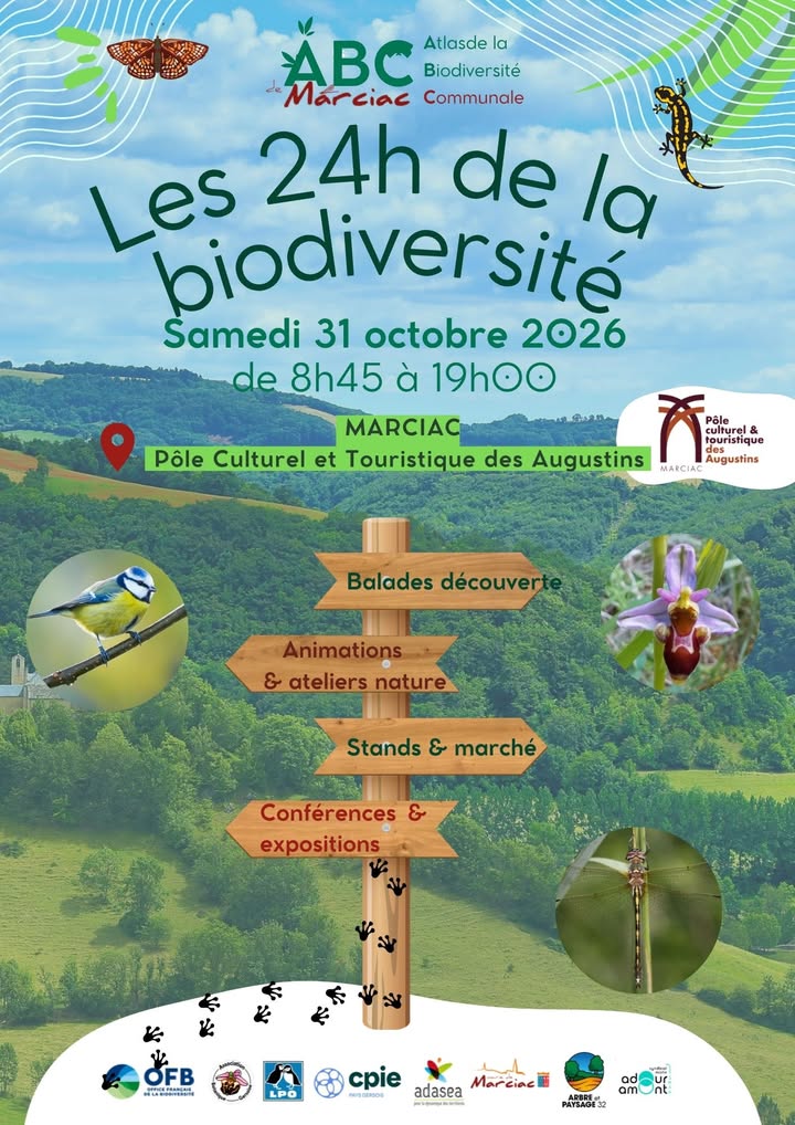 Arbre & Paysage 32